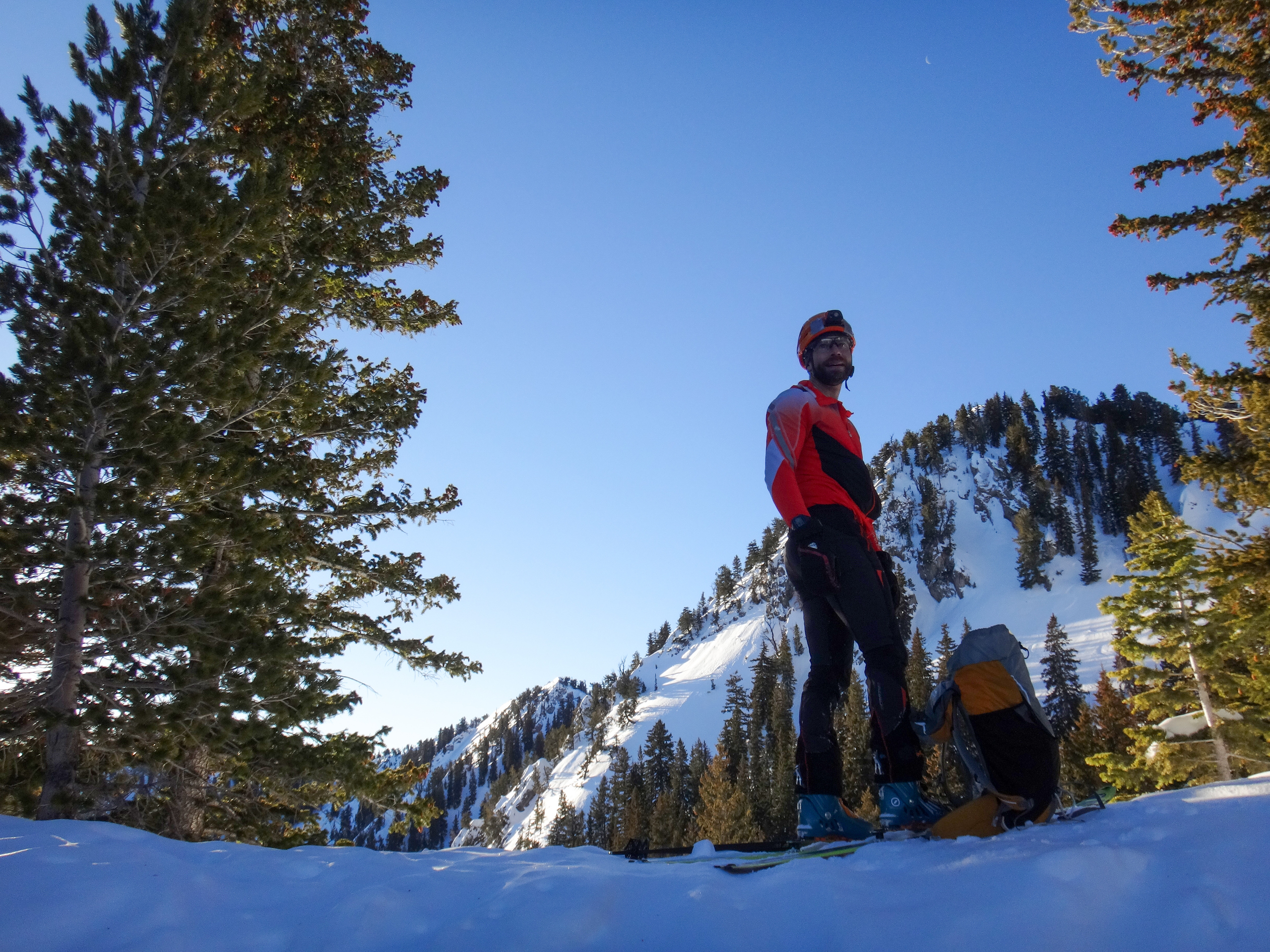 A ski guide on a forested ridge with a sunlit peak behind