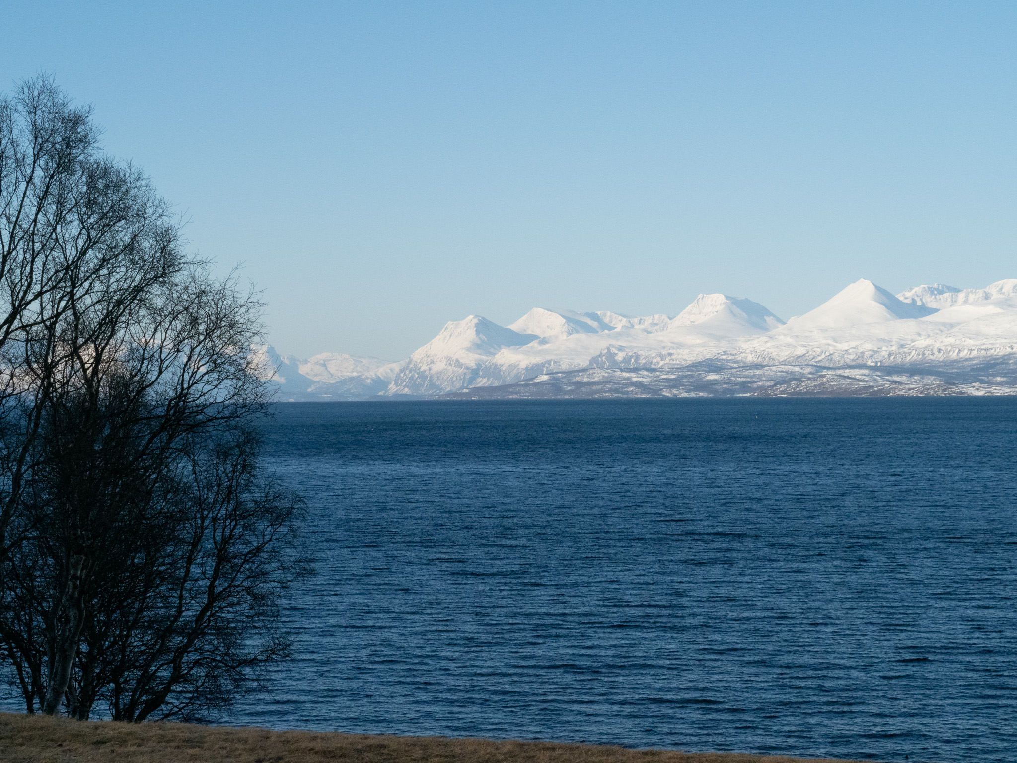 Snow-covered Lyngen Alps across a Norwegian fjord